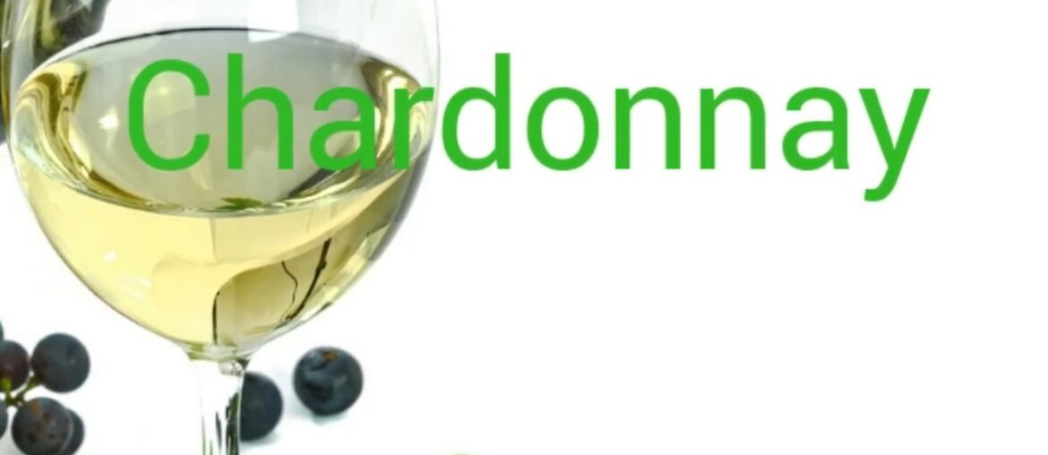 How to pronounce chardonnay. Wine terminology.