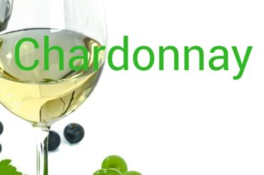 How to pronounce chardonnay. Wine terminology.
