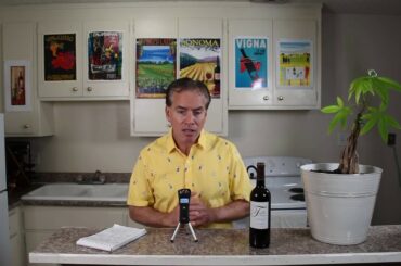 Budget Wine with Bacchus Bruce 2014 Chateau Tertre de Viaud Cotes De Bourg France Wine Backstory