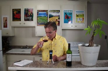 Budget Wine with Bacchus Bruce 2014 Chateau Tertre de Viaud Cotes De Bourg France Wine Tasting