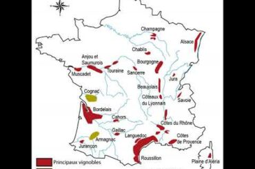 History of French wine | Wikipedia audio article