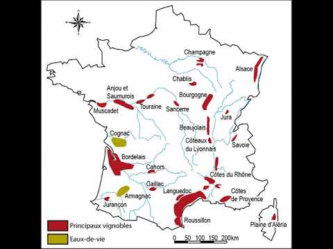 History of French wine | Wikipedia audio article History of French wine | Wikipedia audio article