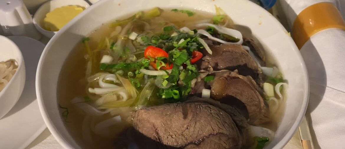 [Flight Review] Vietnam Airlines Ho Chi Minh City to Paris CDG Charles de Gaulle Business Class