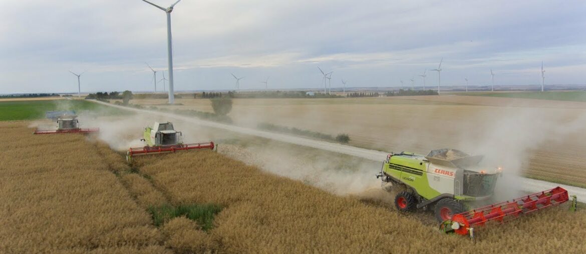 XXL harvest in France / 3 x Lexion 700 / Agrividéo 77