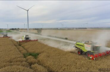 XXL harvest in France / 3 x Lexion 700 / Agrividéo 77
