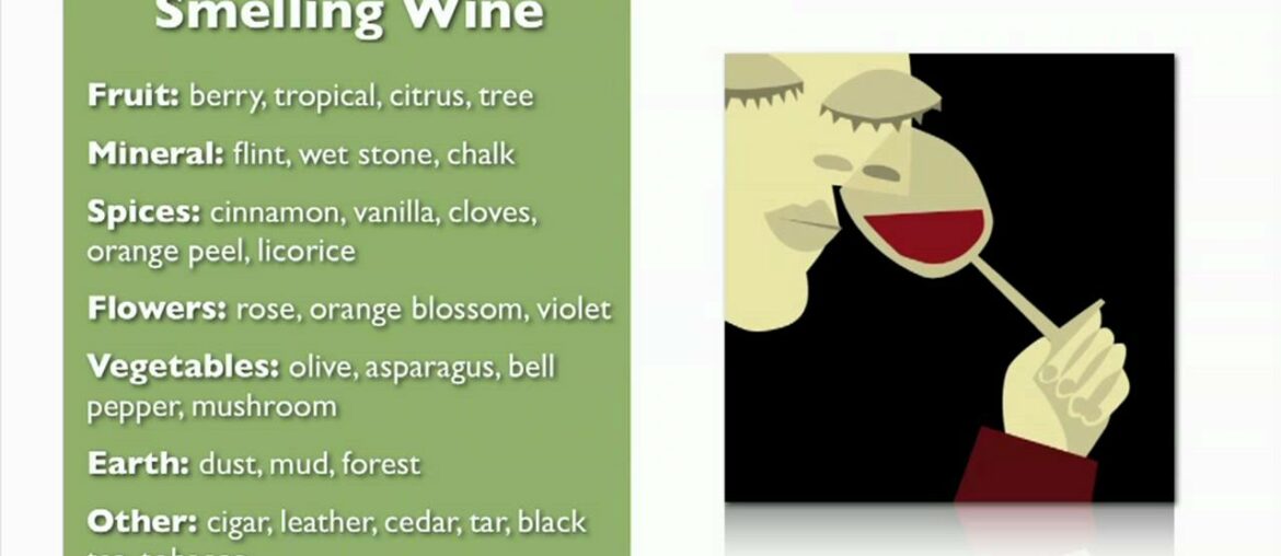 Wine Basics from My Wine Smarts