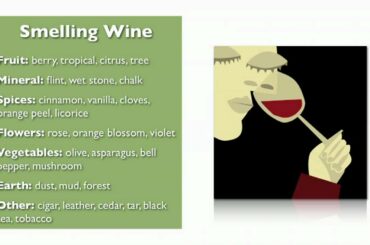 Wine Basics from My Wine Smarts