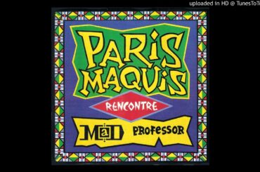 Paris Maquis, Mad Professor - Mystery Dub (France, 1990)