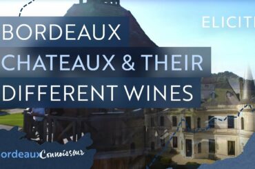 Bordeaux Chateaux & Their Different Wines