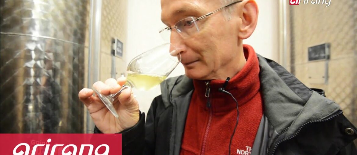 Going Global _ France, the growing trend of organic wine(프랑스 유기농 와인) Going Global _ France, the growing trend of organic wine(프랑스 유기농 와인)