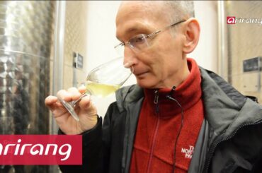 Going Global _ France, the growing trend of organic wine(프랑스 유기농 와인)