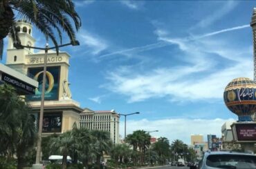 Las Vegas Bellagio "1Br CYPRESS SUITE" - Yum French Pastries - Spray Paint Artist