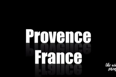 We grow Rosé, we live Rosé: Chateau Gassier Provence