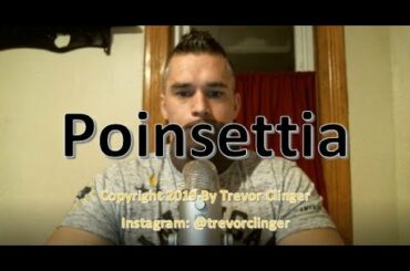 How To Pronounce Poinsettia