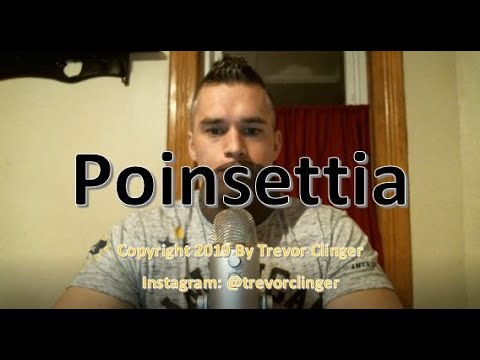 How To Pronounce Poinsettia How To Pronounce Poinsettia