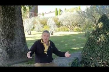 Dani on the wine Trail of Provence, France (2)