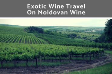 Exotic Wine Travel on Moldovan Wine
