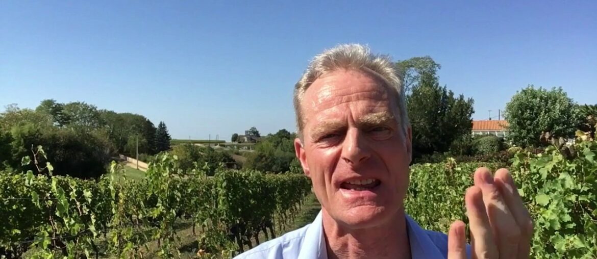 The Power of a Picture