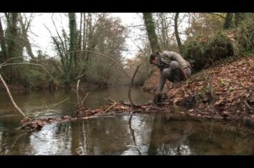 France's Sauternes wine threatened by new train line