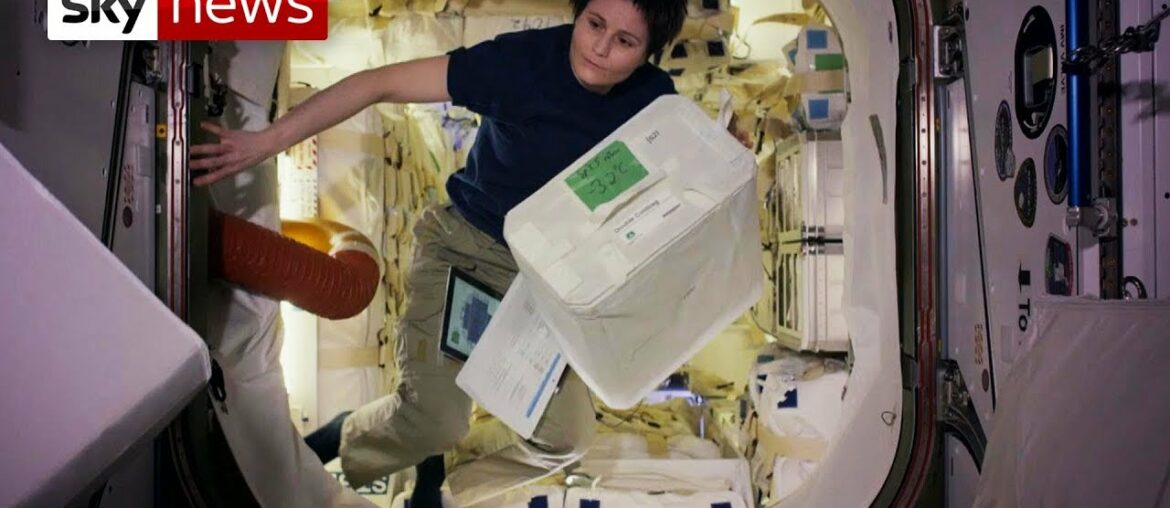 Scientists send wine to space for climate change research Scientists send wine to space for climate change research