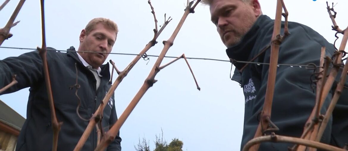 En Savoie, l'Apremont des Vins Perrier et fils dans  le  Top 100 de la revue Wine Spectator