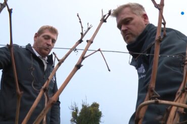 En Savoie, l'Apremont des Vins Perrier et fils dans  le  Top 100 de la revue Wine Spectator