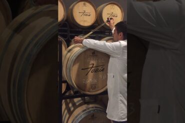 New Vintage Barrel Tasting, Tobia- Rioja, Spain