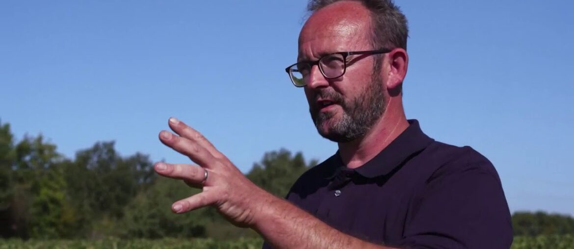 Château Smith Haut Lafitte en France