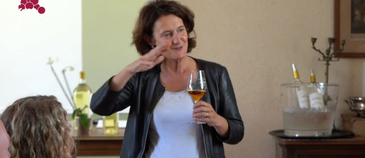 Grapetrotters: 3 day wine tour in Bordeaux