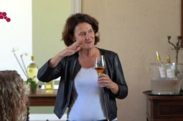 Grapetrotters: 3 day wine tour in Bordeaux