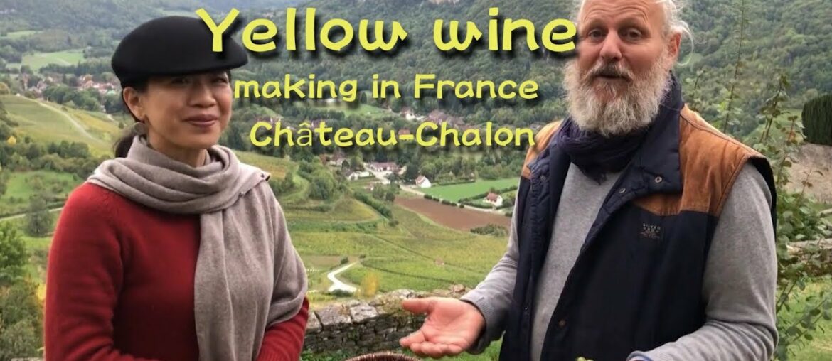 France Vlog — How Yellow Wine Is Making In Chateau Chalon France Vlog -- How Yellow Wine Is Making In Chateau Chalon