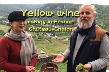 France Vlog -- How Yellow Wine Is Making In Chateau Chalon
