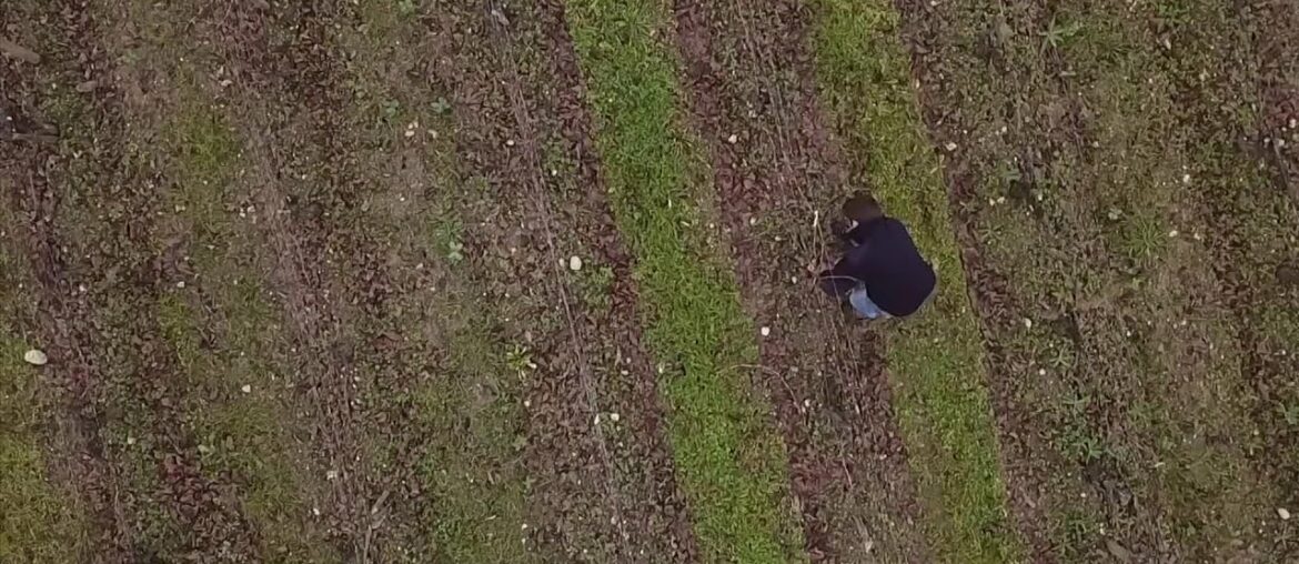 Bordeaux wines blasted into space for study