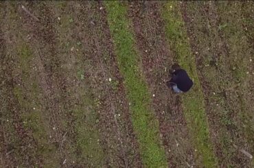 Bordeaux wines blasted into space for study