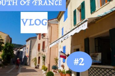 VLOG IN FRANCE - Cat's kingdom