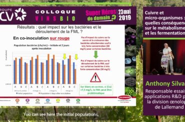 The impact of copper on wine microorganisms