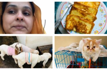 A day in my life / french toast recipe / clothing goats babies in pajamas / indian mom rehnuma