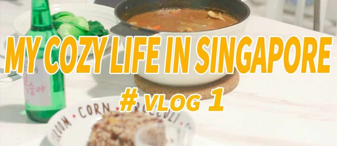 【Singapore vlog1】Crispy French toast & tasty chicken curry rice recipe| My daily workout| 徐熙媛同款咖哩