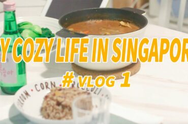 【Singapore vlog1】Crispy French toast & tasty chicken curry rice recipe| My daily workout| 徐熙媛同款咖哩