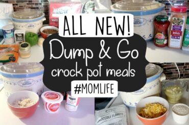 DUMP & GO CROCK POT RECIPES | QUICK & EASY CROCK POT RECIPES
