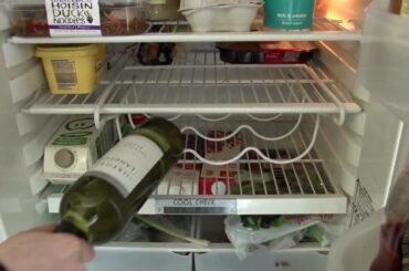 Space Saver Fridge Wine Bottle Rack