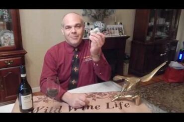 Tea Bag & Wine Cork Protest, Wild Wine Life, Wine Tap Tips