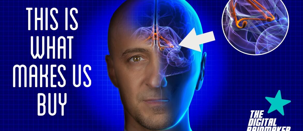 This is what makes us click "buy" (And how you can use NEUROMARKETING to increase sales) This is what makes us click "buy" (And how you can use NEUROMARKETING to increase sales)