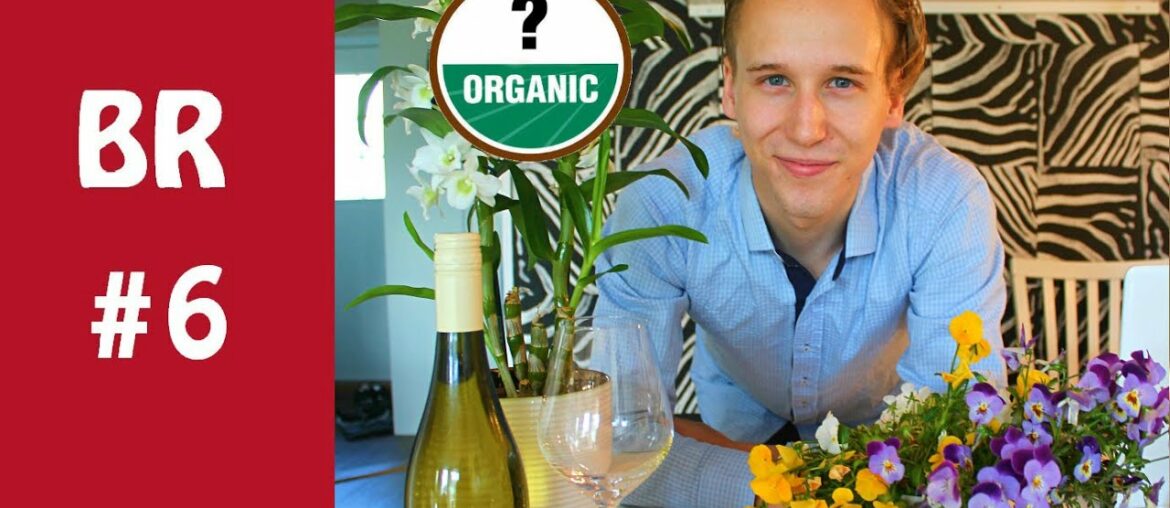 Why is Organic Wine better for you? – Loire Sauvignon Blanc Review Why is Organic Wine better for you? - Loire Sauvignon Blanc Review