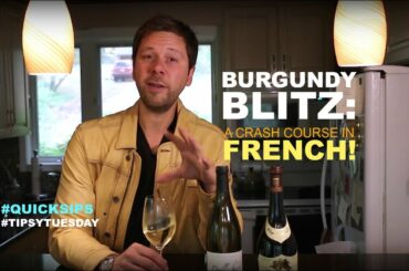 French Burgundy Wines 101