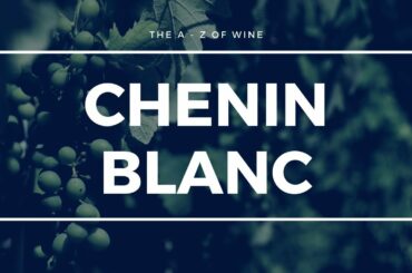 All About CHENIN BLANC - The A - Z of Wine