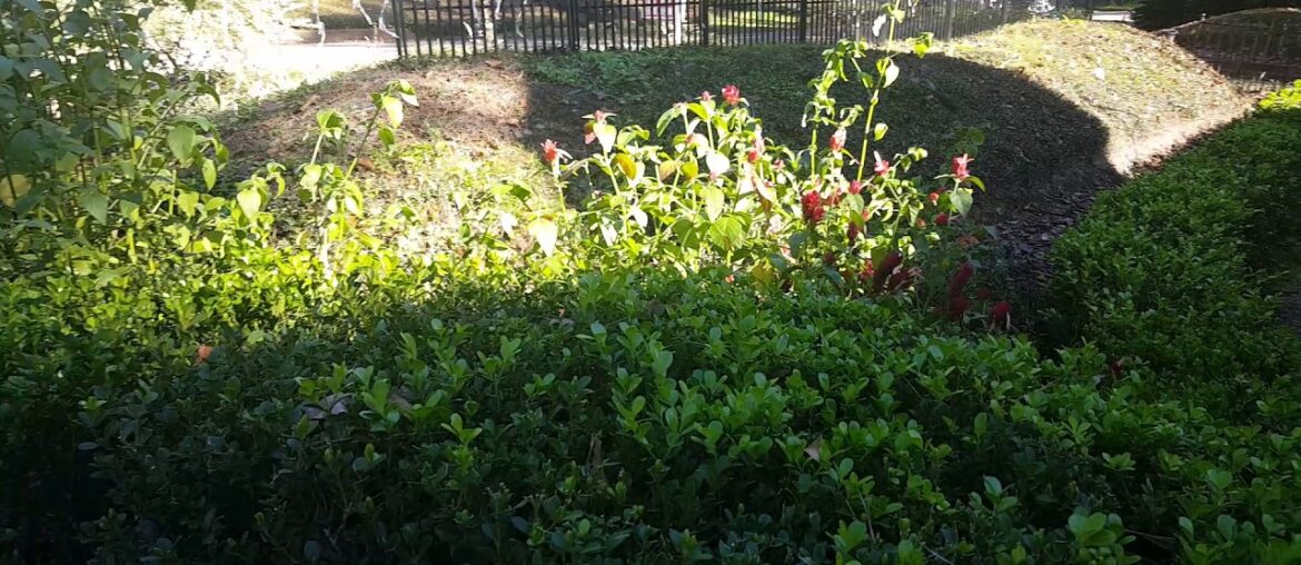 House FOR SALE BY OWNER