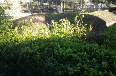 House FOR SALE BY OWNER