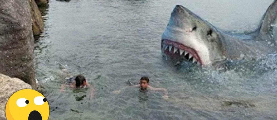 4 SCARY Shark Attacks CAUGHT ON CAMERA