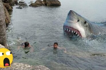 4 SCARY Shark Attacks CAUGHT ON CAMERA